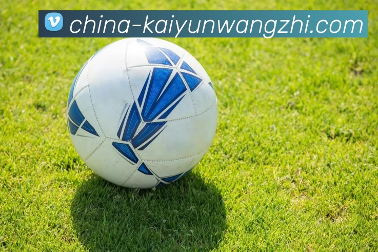 奖项2